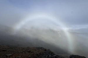 IMG 7798