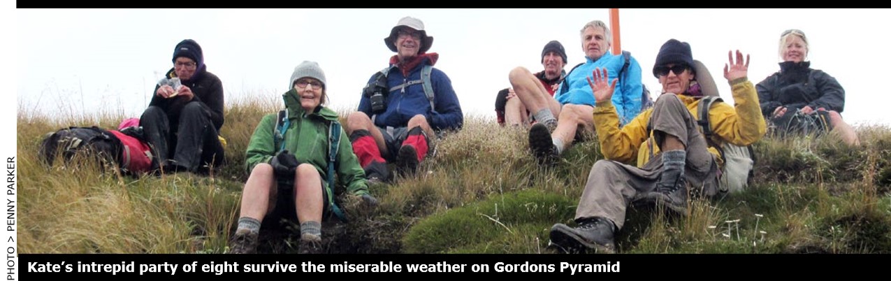 gordons