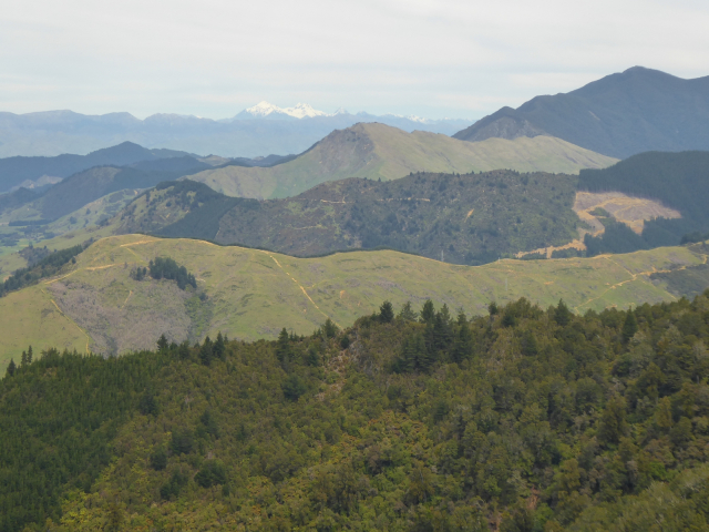 Takorika view Kaikoura