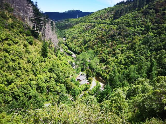Following the pipeline high above the Maitai river bed